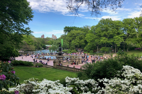 New York City: met de paardenkoets door Central Park