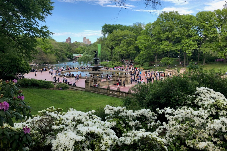 New York City: met de paardenkoets door Central Park