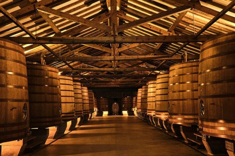 La Rioja: Visita guiada de Bodega CVNE y cata de vino