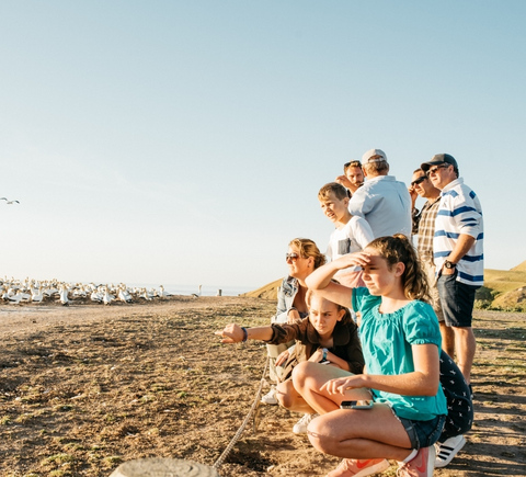 Family-friendly activities