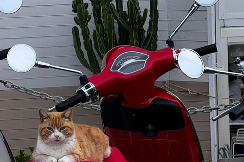 Amalfi Coast: Vespa Rental with Local Itinerary Amalfi Coast by Vespa: A Freedom Tour with a "Local" Itinerary