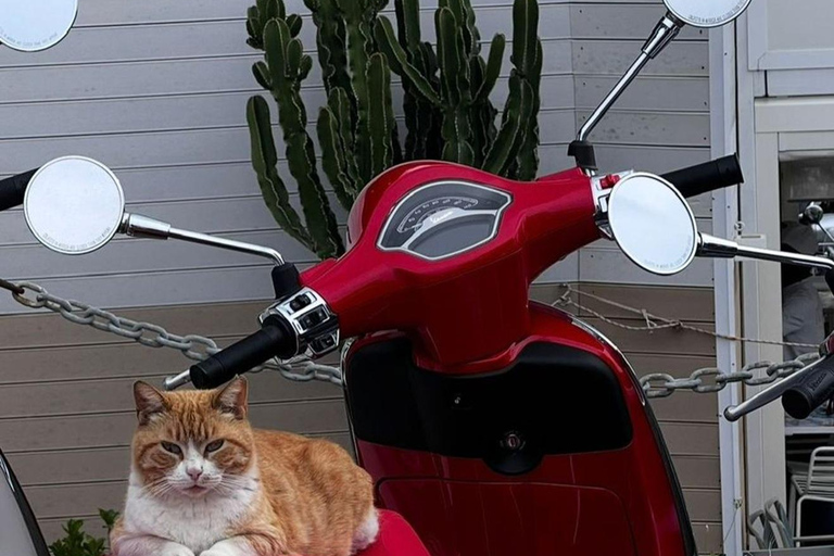 Amalfi Coast: Vespa Rental with Local Itinerary Amalfi Coast by Vespa: A Freedom Tour with a "Local" Itinerary