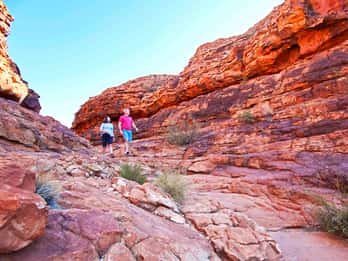 Kings Canyon: Tagestour ab dem Ayers Rock Resort Kings Canyon: Tagestour ab dem Ayers Rock Resort