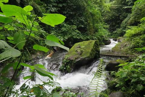 Bali: Canyon Tubing Adventure
