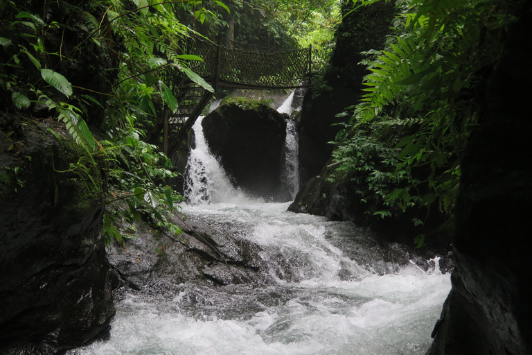 Bali: Canyon Tubing Abenteuer