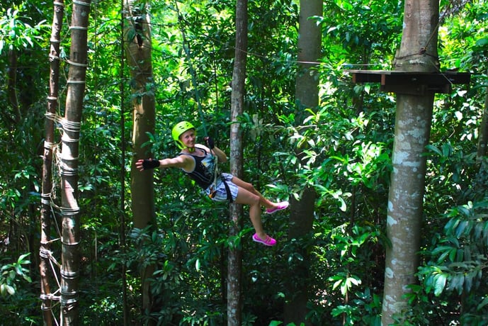 Краби: парк приключений Tree Top