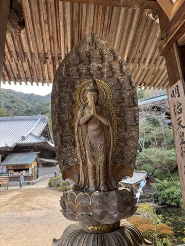 Sacred Miyajima: Journey to the Floating Torii