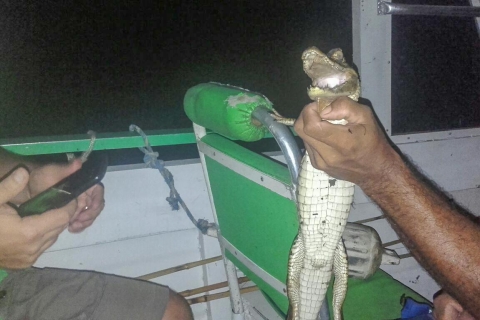 Manaos: tour nocturno pesca pirañas y observación caimanes