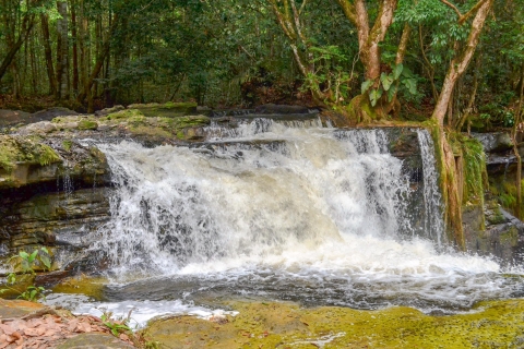Van Manaus: Presidente Figueiredo Watervallen-dagtrip