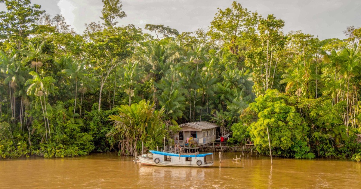 jungle tour amazonas