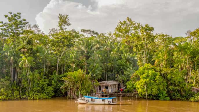 manaus tour de 2 3 o 4 días en la selva amazónica