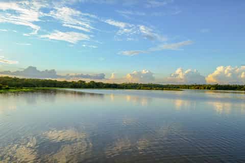 Manaus: 2, 3 or 4-Day Amazon Jungle Tour in Anaconda Lodge