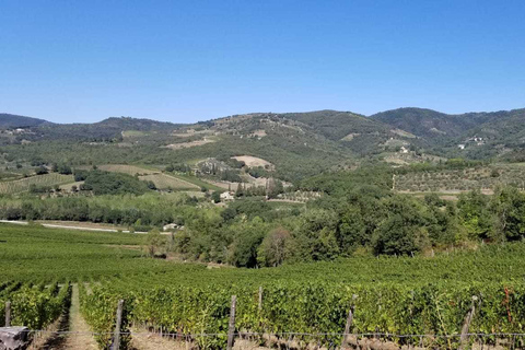 Vanuit Florence: fietstocht door Toscane met lunch en wijnproeverij