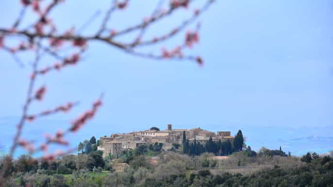 desde florencia tour de día completo de brunello di montalcino