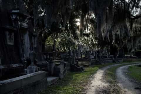 Charleston: Magnolia Cemetery Nighttime Tour