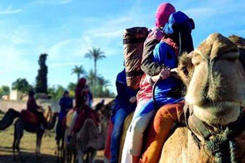 Marrakech: Halvdagstur med Buggy Ride, kamelridning och spa