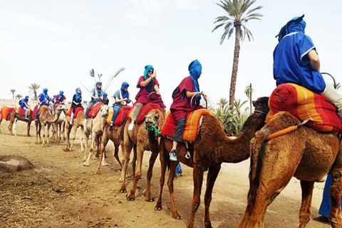 Marrakech: halve dagtour met buggyrit, kameelrit en spa