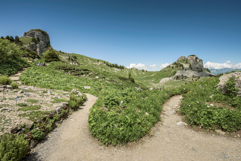 Schynige Platte - Top of Swiss Tradition ticket From Wilderswil: Schynige Platte Railway Round Trip and More