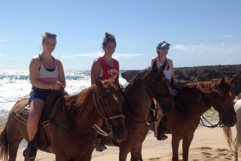 2-Hour Horseback Riding Tour in Aruba Standard Option