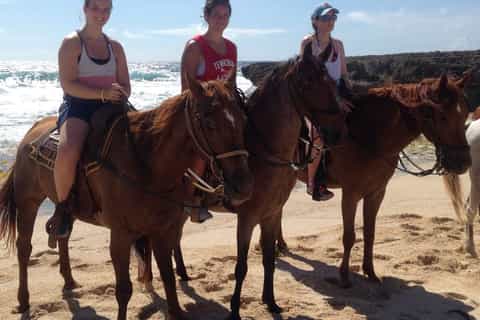 2hour horseback riding tour in aruba