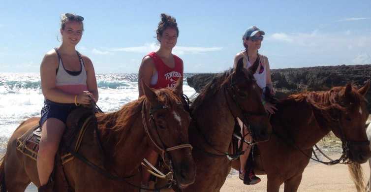 2 Hour Horseback Riding Tour in Aruba GetYourGuide