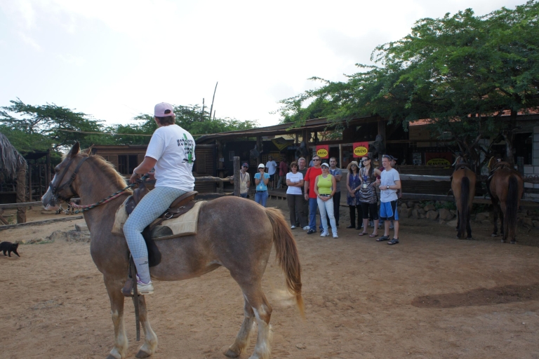 Aruba: 2 uur paardrijdenStandaardoptie