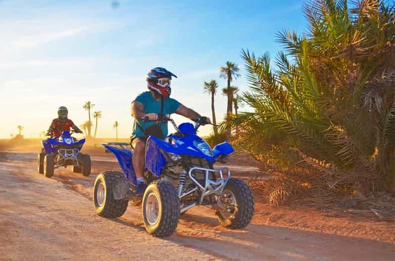 Marrakech Desert Palm Grove Quad Bike Tour Getyourguide