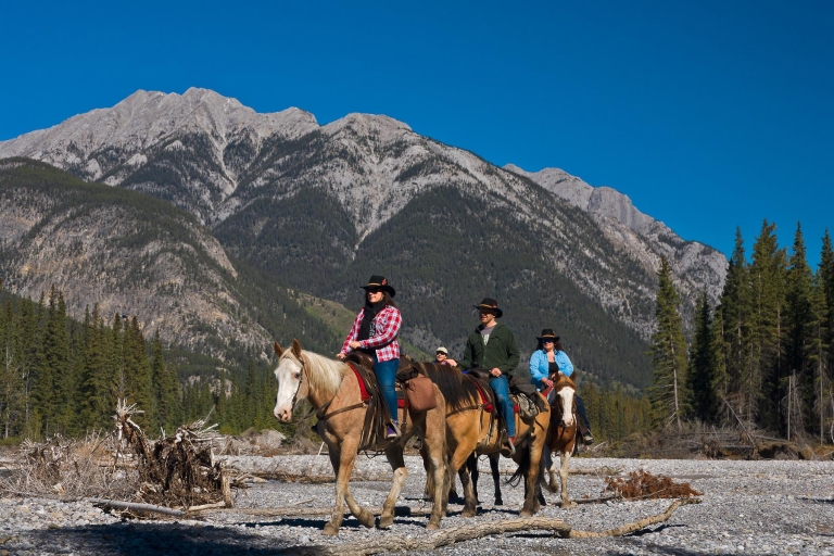 Banff: 2-daagse overnachting Backcountry Lodge trip per paard
