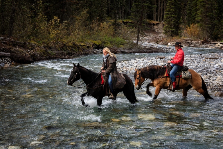 Banff: 2-daagse overnachting Backcountry Lodge trip per paard