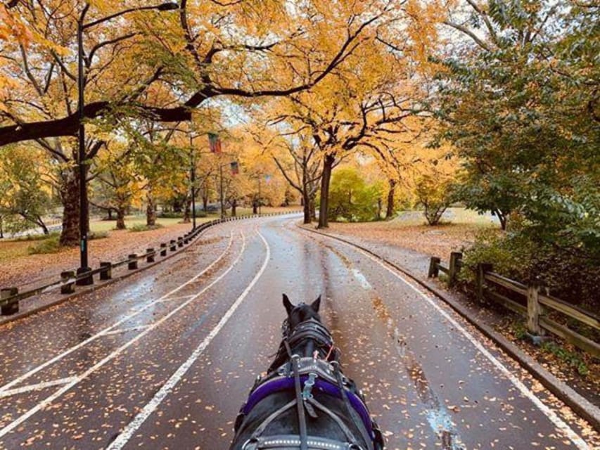 NYC Central Park HorseDrawn Carriage Ride (up to 4 Adults) GetYourGuide