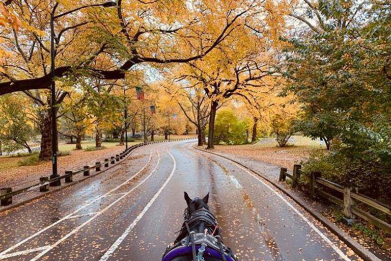 New York City: met de paardenkoets door Central Park