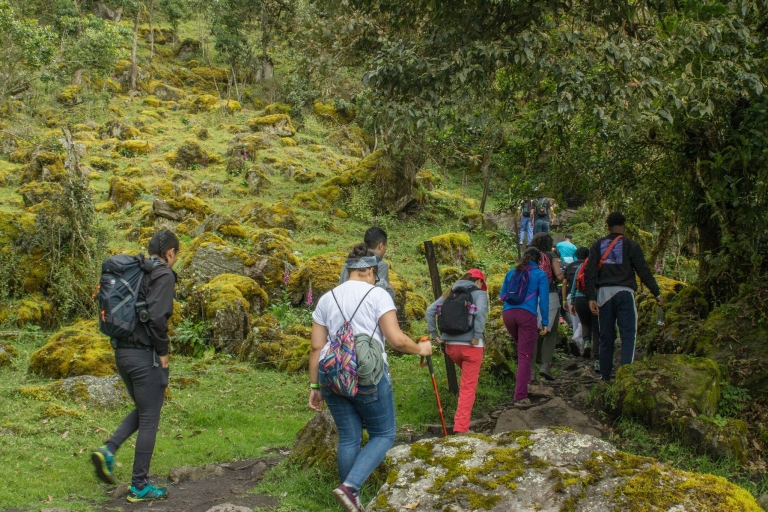 Randonnée de Bogota ChorreraRandonnée à Bogota Chorrera avec déjeuner