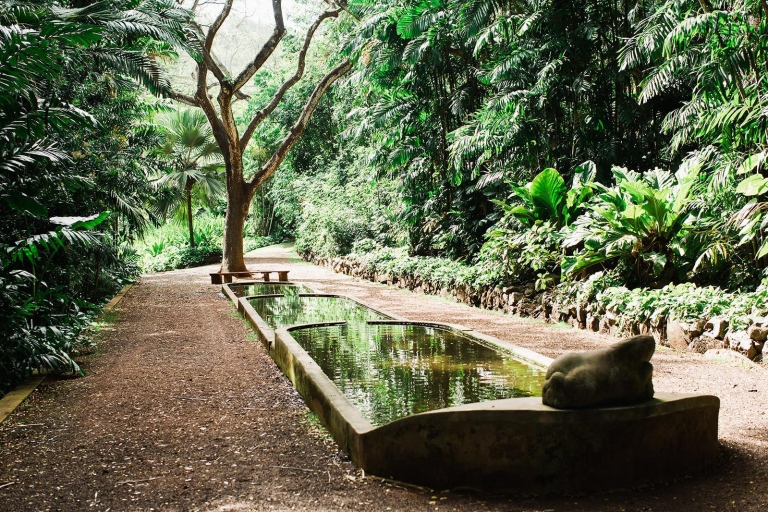 Kauai: begeleide groepswandeling door Allerton Garden