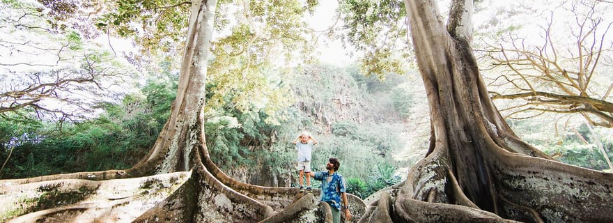 Kauai : Allerton Garden : visite guidée à pied pour les groupes