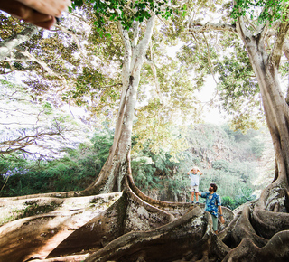 Kauai: Tours en tickets voor bezienswaardigheden