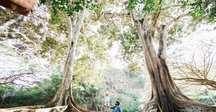 Kauai: Allerton Garden Guided Group Walking Tour