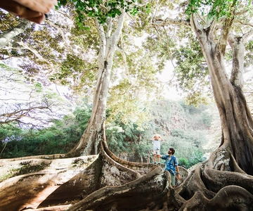 Kauai: Allerton Garden Guided Group Walking Tour