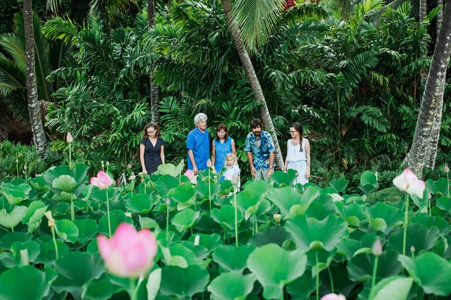 Kauai : Visite du jardin et du domaine d&#039;Allerton avec dîner au coucher du soleil