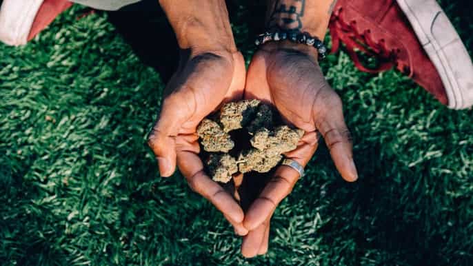 tournée cannabique de seattle aventure dune herbe dune demijournée