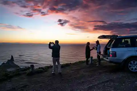 Sequestradores do Cabo: Excursão exclusiva ao nascer do sol na Colónia de Gannet