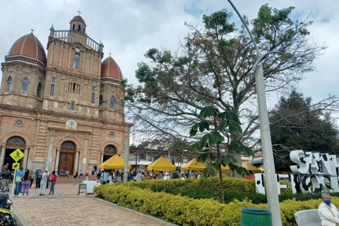 MEDELLIN: WYCIECZKA MLECZARSKA + SZWAJCARIA KOLUMBIJSKA