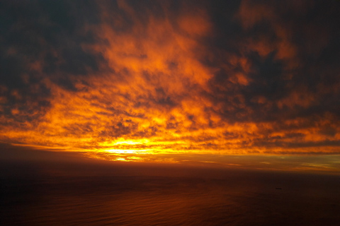 Le Cap : Randonnée au lever ou au coucher du soleil à Lion's HeadRandonnée au lever ou au coucher du soleil avec dépose-minute