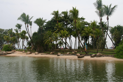 Cingapura: Excursão particular com um guia localPasseio de 3 horas