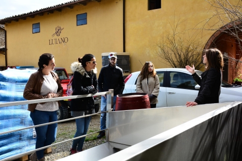 Van Florence: Chianti Classico met lunch van een halve dag