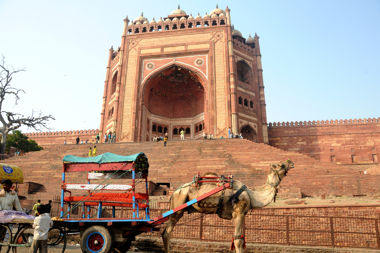 Da Delhi: tour notturno del Taj Mahal e della città di Agra in autoTour con sistemazione a 5 stelle