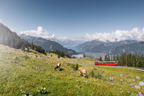 Schynige Platte - Top of Swiss Tradition ticket From Wilderswil: Schynige Platte Railway Round Trip and More