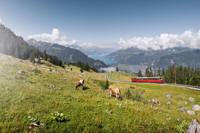 Schynige Platte - Top of Swiss Tradition ticket From Wilderswil: Schynige Platte Railway Round Trip and More