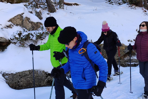 Cerdanya: Snowshoe tour through the forests and lakes of the Pyrenees