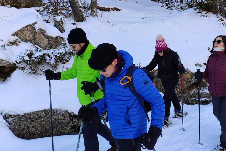 Cerdanya: Snowshoe tour through the forests and lakes of the Pyrenees