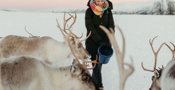 Tromsø: Reindeer Camp and Sami Cultural Tour with Lunch